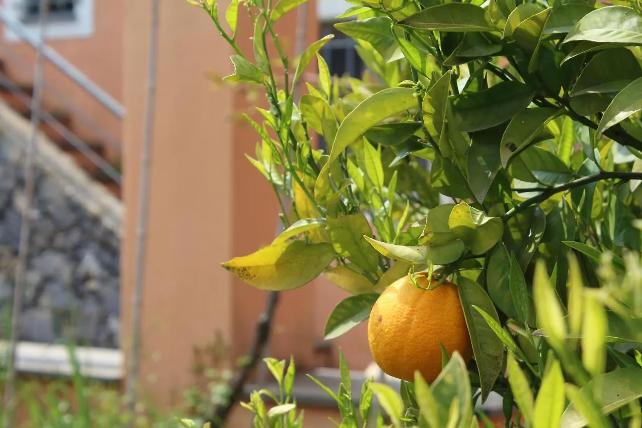 Villa Arancia Quiet, Central, Parking And Air Conditioning Levanto 0*,  Italien
